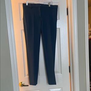 Ann Taylor Teal Blue Trousers